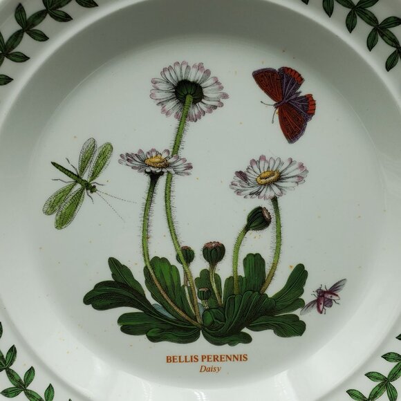 Portmeirion Botanic Garden Bread Dessert Appetizer Plates Daisy Bindweed Plates - Picture 5 of 7